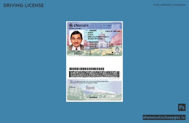 Beispiel für einen Führerschein des US-Bundesstaates Oregon